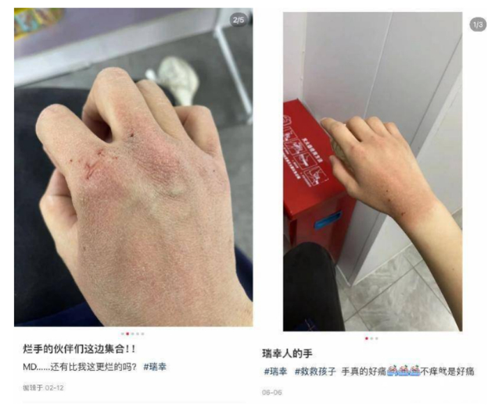 截图来源：深圳新闻网