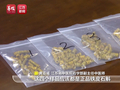 假铁皮石斛还标“特级”称号！商家用黄草或者水草石斛冒充，注册虚假营业地址躲避监管