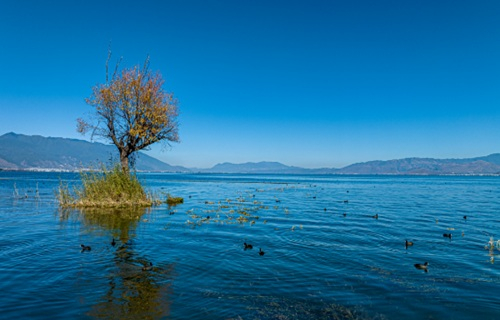 天蓝水清的洱海。赵一舟 摄
