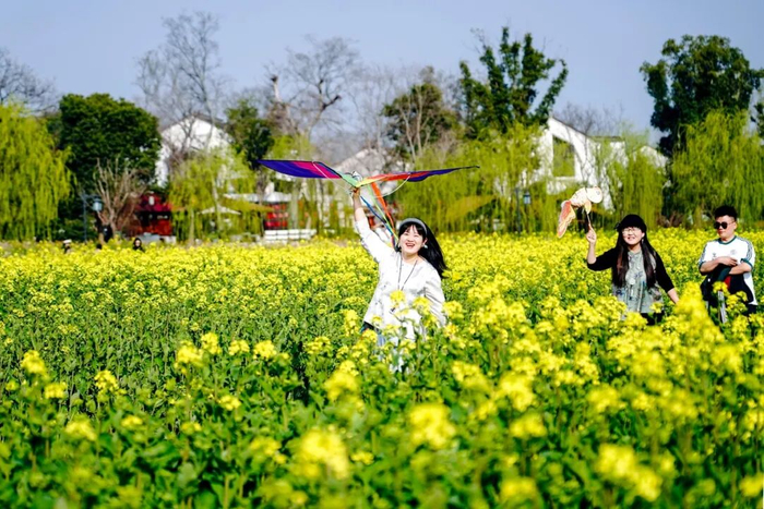 ▲上图：3月14日，游客在浙江省湖州市吴兴区八里店镇潞村油菜花海里放飞风筝，享受春日里快乐时光。（潘学康/人民视觉）
