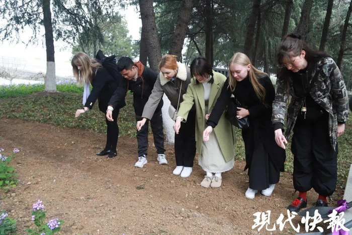 国际青年播撒紫金草种子