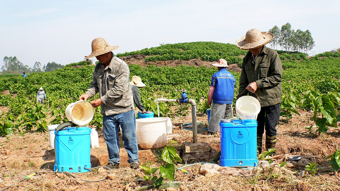     那楼镇的村民在做植保前的准备。    本报记者蓝梦 摄