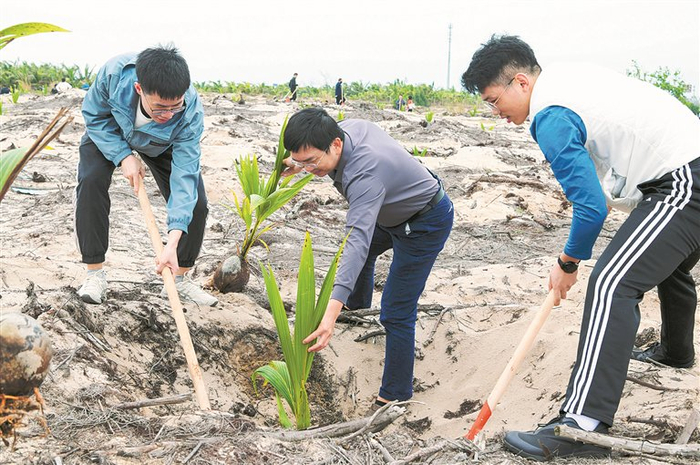图为近日,志愿者在海南省文昌市岛东林场五龙作业区沿海防护林带参加植树活动。新华社记者 杨冠宇 摄