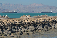 海事数据显示霍尔木兹海峡通航船只数量首次降为零