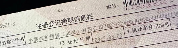 图片来源：受访者供图
