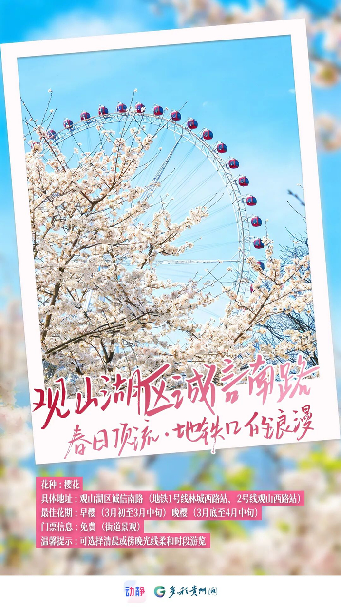 图源：观山湖区文体广电旅游局
