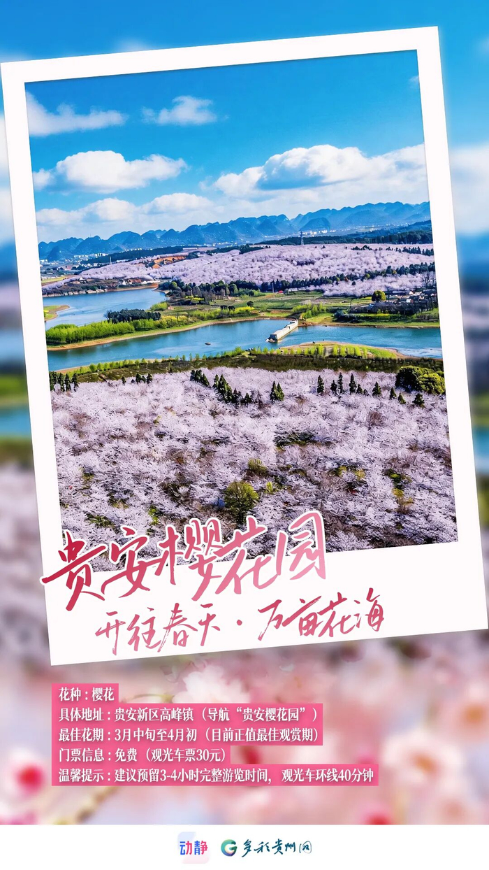 王德友 摄