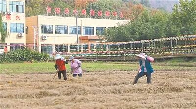 ▲ 柴桑区涌泉乡黄洞村蔬菜产业基地。