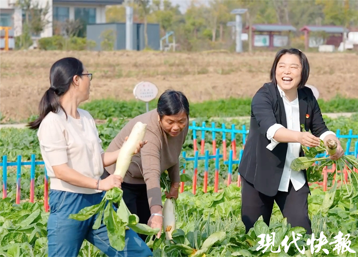 徐玲和村民一起采摘蔬菜
