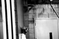 依旧是型男！威少晒近照并配文座右铭：WHY NOT?