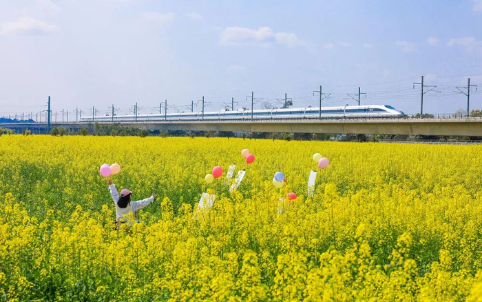 2026年2月26日，游客在四川省泸州市龙马潭区特兴街道慈竹村赏油菜花。新华社发（牟科 摄）