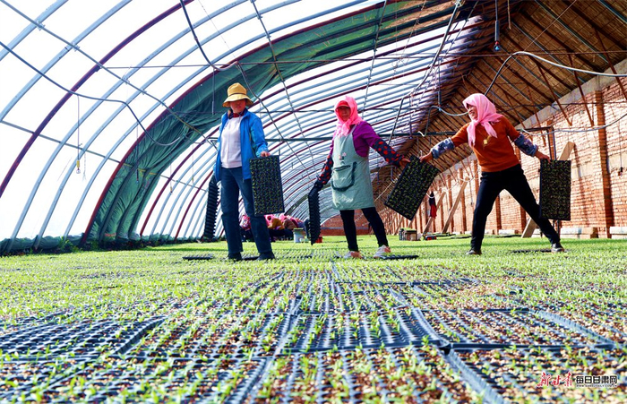 责任编辑：于帅