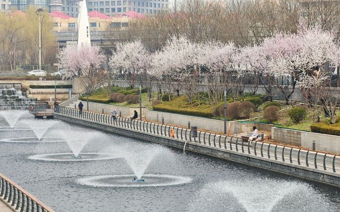 亮马河，河畔春色。新京报记者 王巍 摄