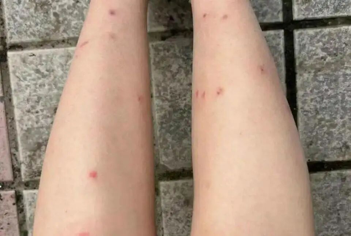 图源：台州晚报