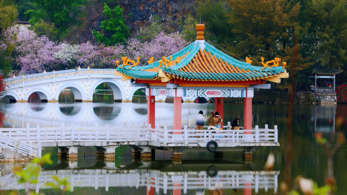 △肇庆春日美景。聂伟健 摄