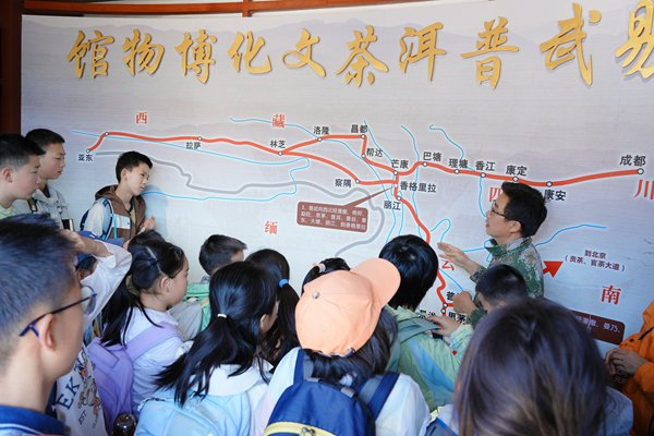 （在易武普洱茶文化博物馆内，“西双版纳好人”、志愿宣讲员刀易学化身文化使者，向研学人员讲解普洱茶历史文化，）
