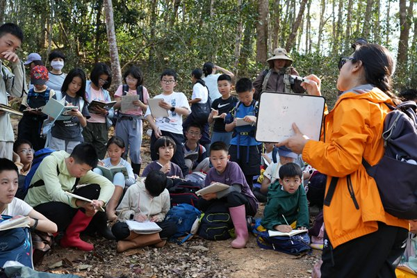 （专业生态导师带领研学团队穿行雨林茶园，讲解古茶树共生生态、绿色防控技术）