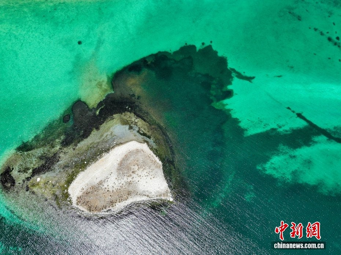 中新社记者 贡嘎来松 摄