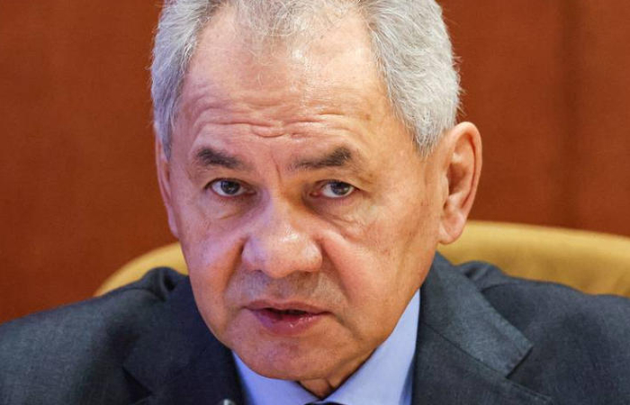 绍伊古资料图 俄媒