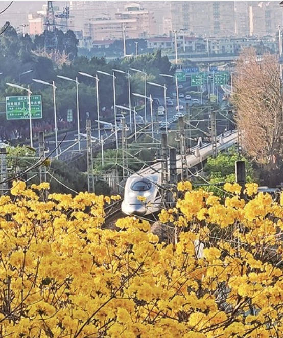在山海健康步道遥望开往春天的列车。晨报拍客 何燕欣 摄 