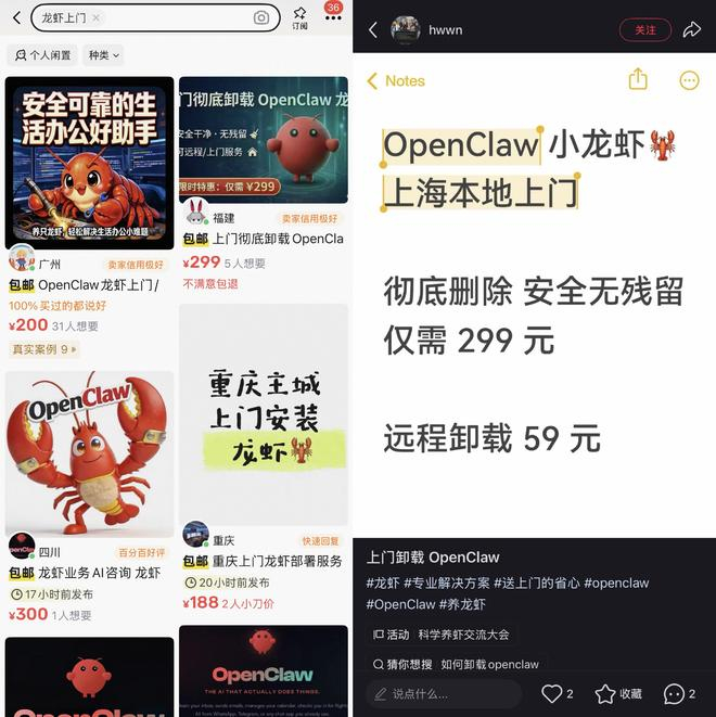 图源：闲鱼&小红书