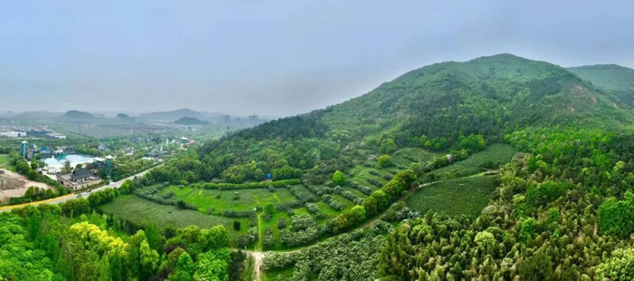 大阳山文旅集团供图