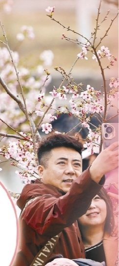 游客在玉渊潭公园踏青赏樱