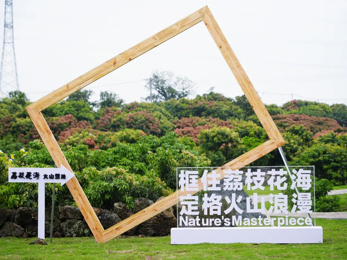 荔枝花海火山营地。受访者供图