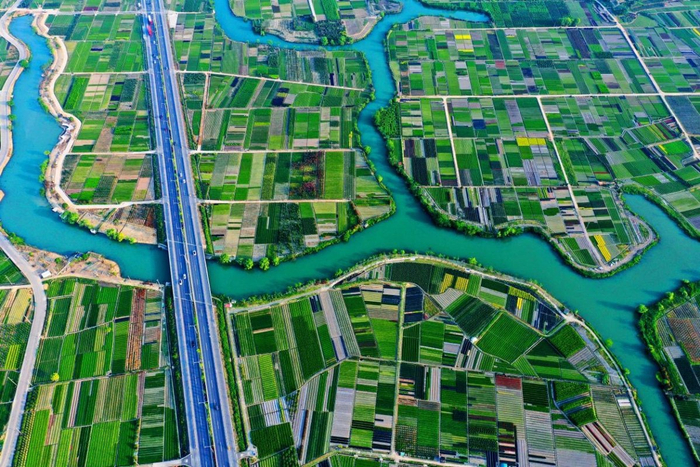 芦江河片区风景。