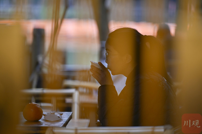 品尝春茶的茶客