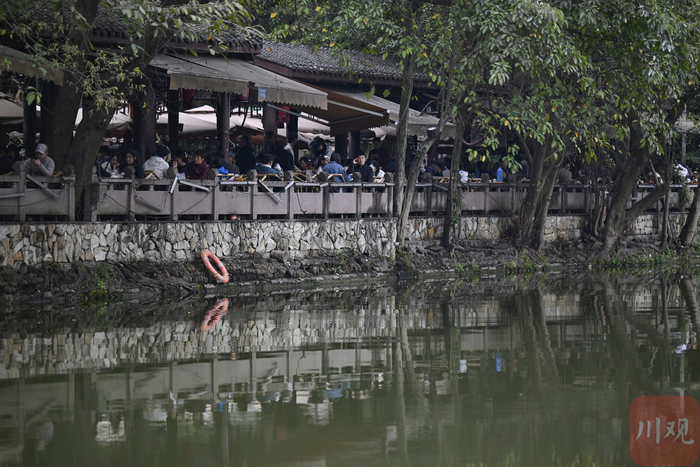 鹤鸣茶社坐满了品尝春茶的茶客