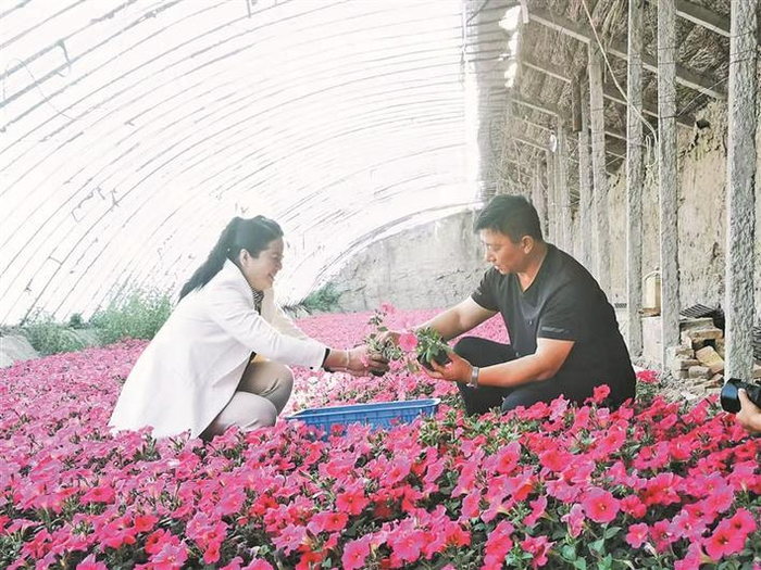     3月11日，石梅花（左）在八十三团的大棚里走访，了解种植户今年的打算。    兵团日报常驻记者  郭晓维  摄