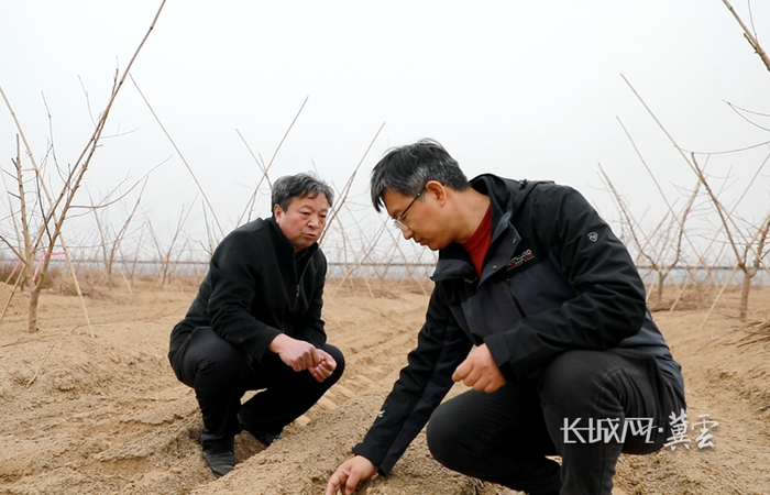 艾建立（左）与王越辉交流油菜播种情况。长城网·冀云客户端记者 李佳琦 摄