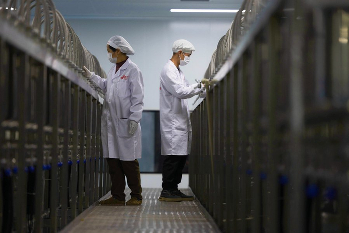 景兰咖啡的冰滴冷萃咖啡生产线（摄于1月14日）。新华网 赵普凡 摄