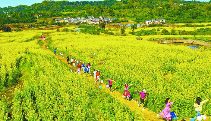     美丽乡村吸引众多游客打卡