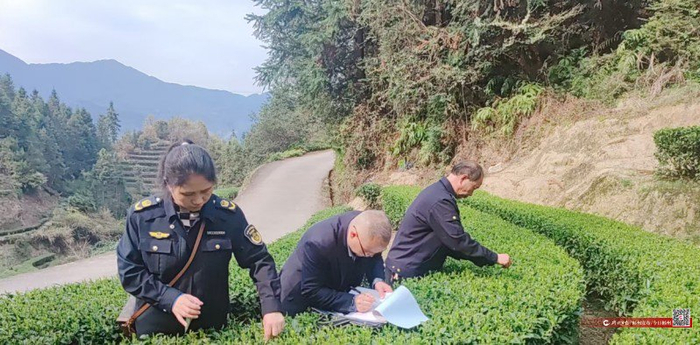 ▲采样人员随机抽样并记录采样的茶农信息。