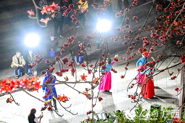 市民在木棉树下载歌载舞。人民网记者 雷琦竣摄