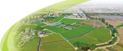 俯瞰浙江杭州余杭区良渚街道北片八村片区。陈铭摄