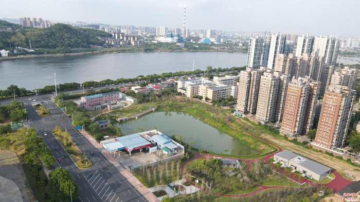 治理过后的陈埠港已成为绿色游园。记者/张威 摄
