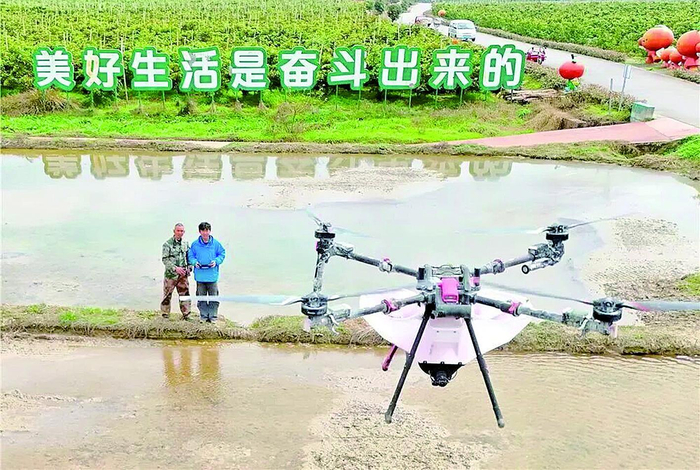     专业飞手利用无人机进行水稻飞播