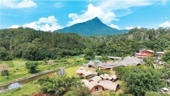 海南热带雨林国家公园五指山片区。人民网记者 符武平摄