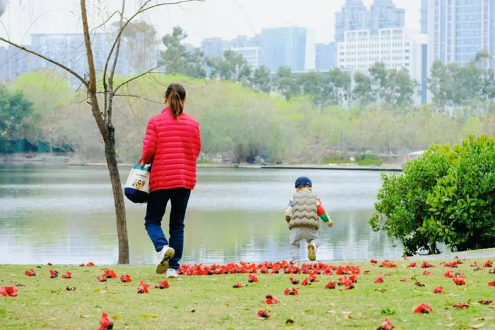 今天清晨鹭岛天气阴沉，天空雾蒙蒙的。（厦门日报拍客 静心 摄）