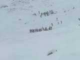 意大利北部发生雪崩 致2死5伤