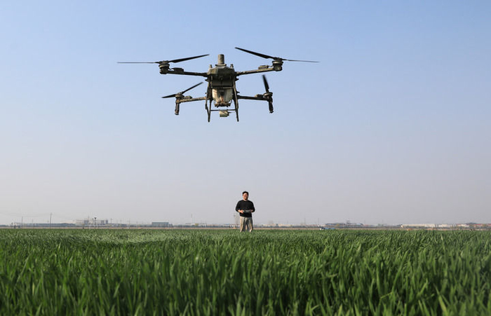 2026年3月20日，在河南省焦作市温县黄河滩区，无人机手操作无人机进行小麦春管作业。新华社发（黄福兴摄）