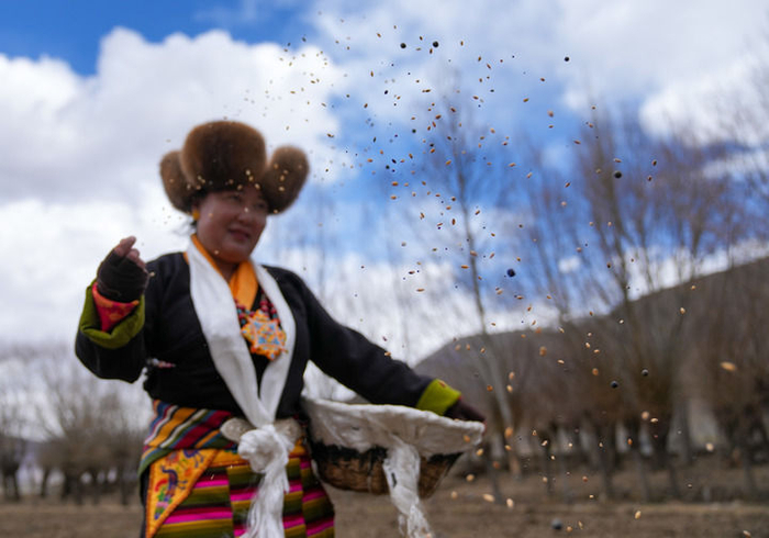 2026年3月16日，西藏山南市结巴乡结巴村村民身着盛装，在新犁开的田地上播撒种子。新华社记者 晋美多吉 摄