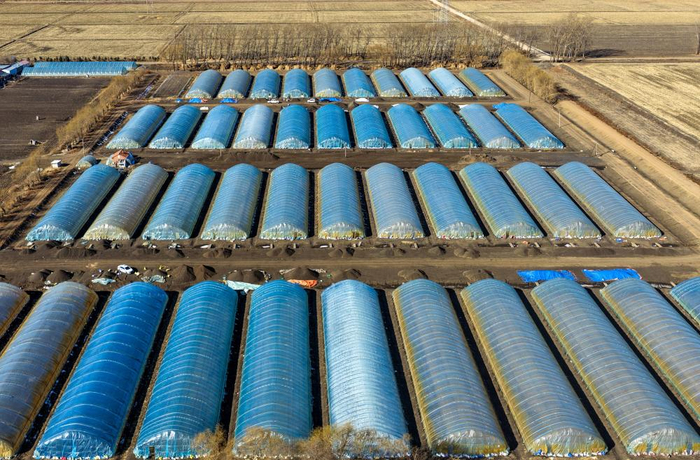 2026年3月17日在黑龙江北大荒农业股份友谊分公司第二管理区拍摄的水稻育苗园区（无人机照片）。新华社发（徐宏宇摄）