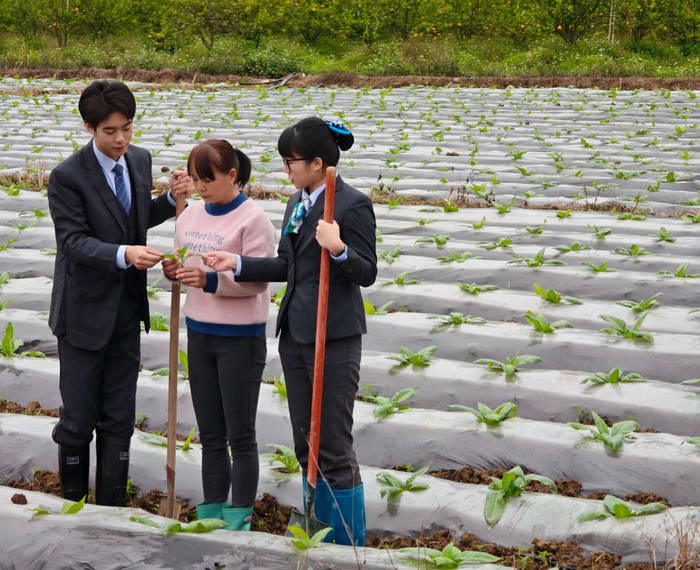 图为农行德保县支行客户经理到烤烟育苗基地了解烟苗种植情况。（罗智翀摄）
