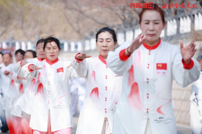 图 | 国际太极拳日邹平樱花山千人共练震撼瞬间