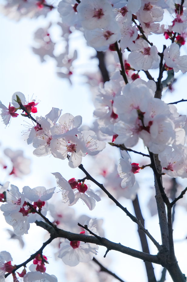 摄影/九月和桃子