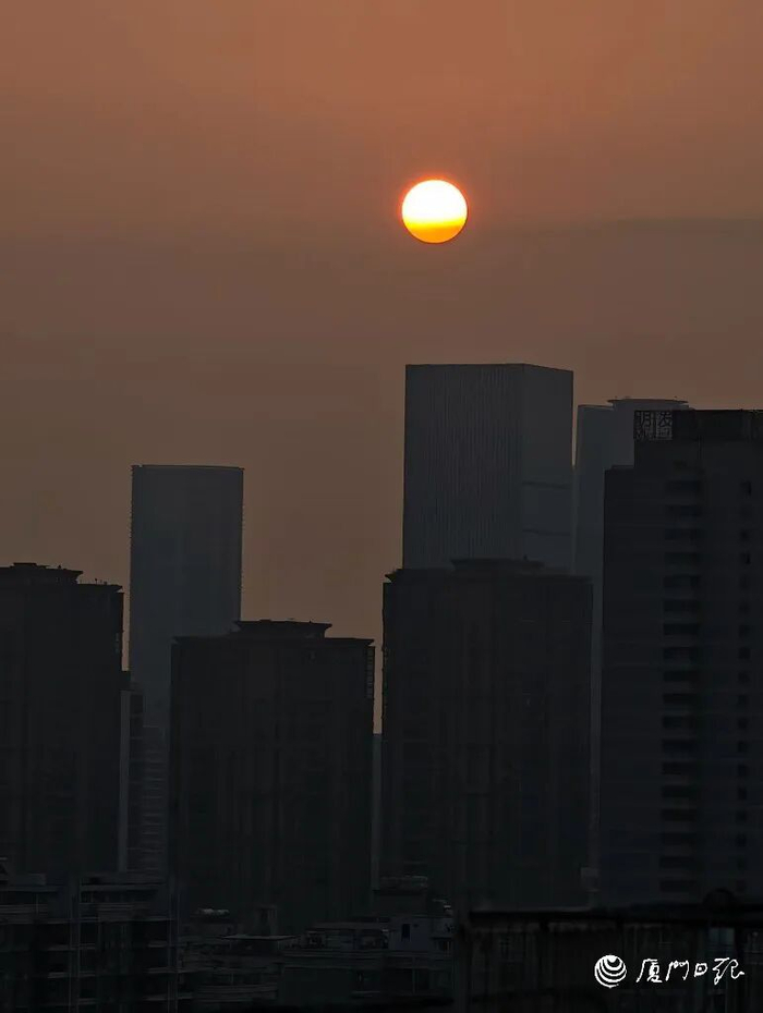 今天久违的太阳重新露面，一扫鹭岛多日阴沉。（厦门日报拍客 薇桦 摄）